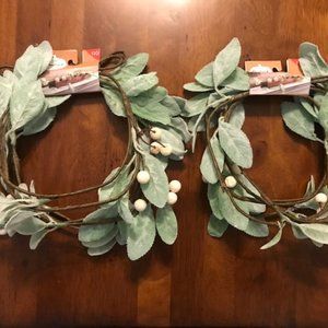 NWT Winter Eucalyptus Garland Set of 2
